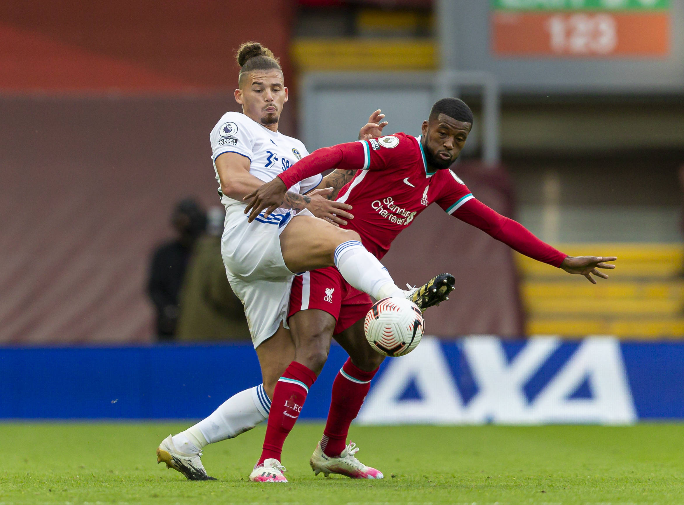 黑马的崛起 黑马的崛起